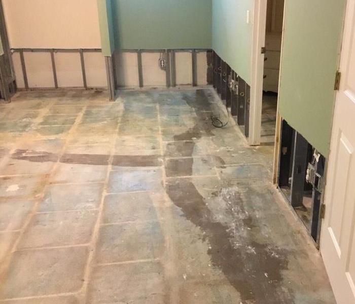 Floor with carpet removed and walls cut 2 feet from bottom in Summit County