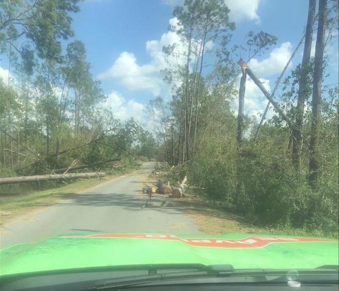 Trees blocking the road after a hurricane